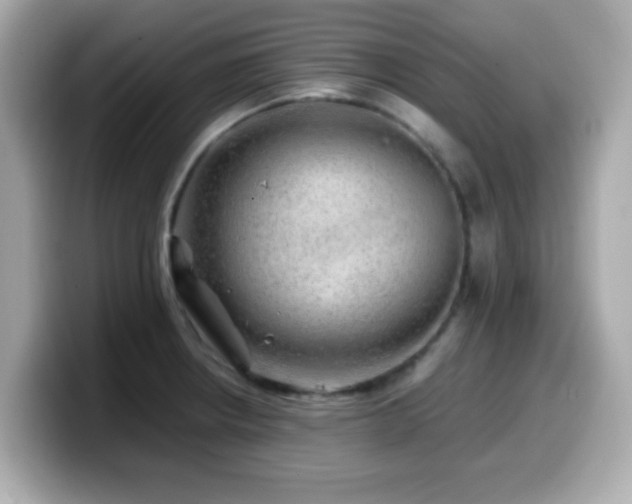X0000099991234200805231446