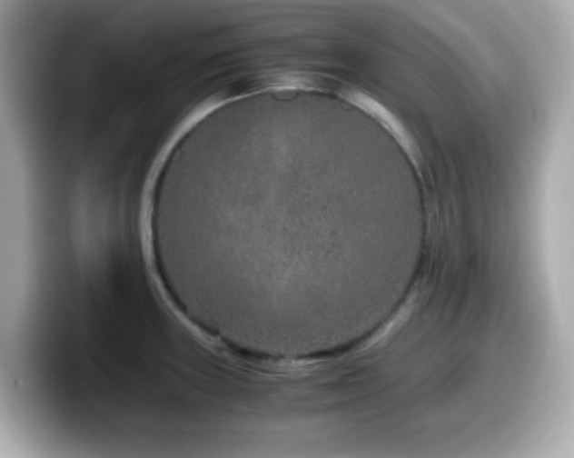 X0000099991235200805231446