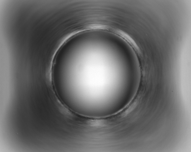 X0000099991236200805231446