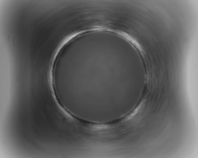 X0000099991239200805231446