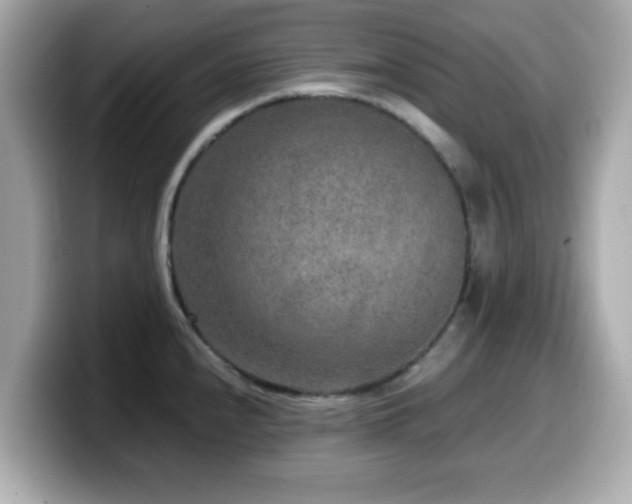 X0000099991240200805231446