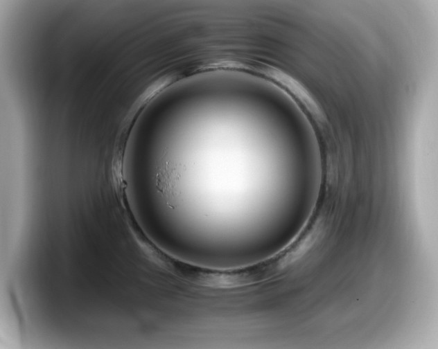 X0000099991241200805231446