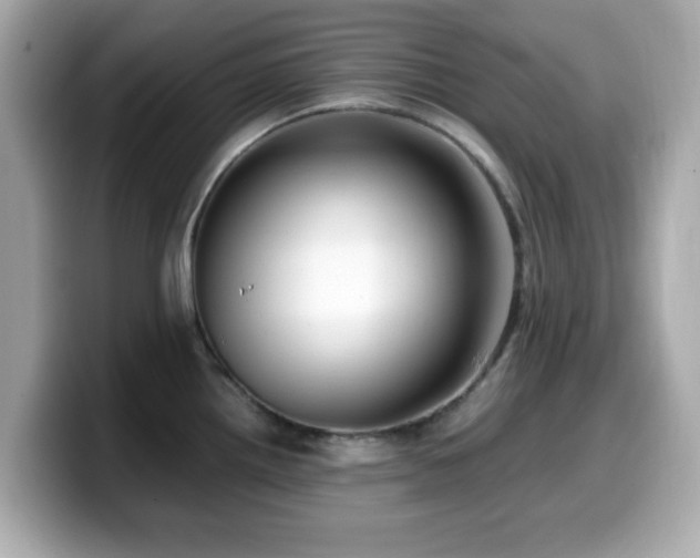 X0000099991242200805231446