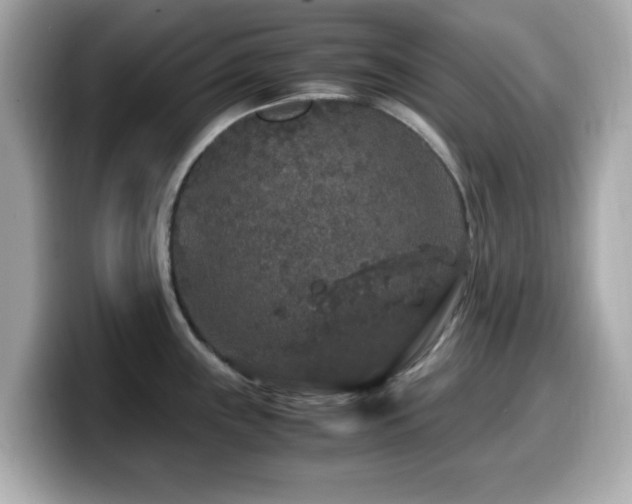 X0000099991243200805231446