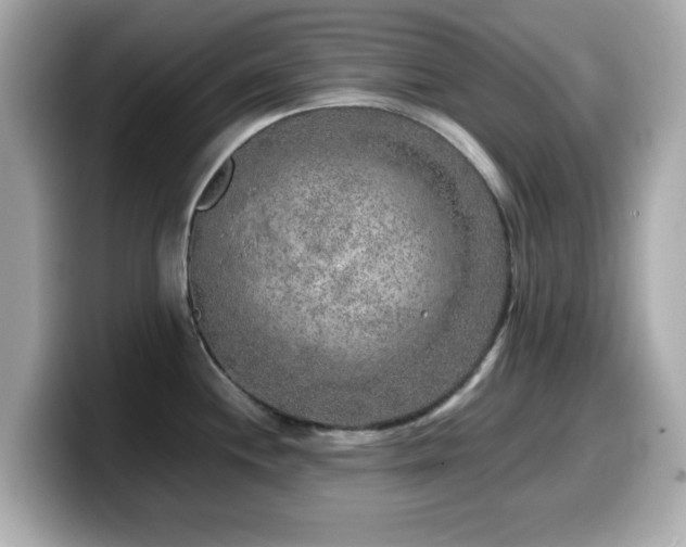 X0000099991244200805231446