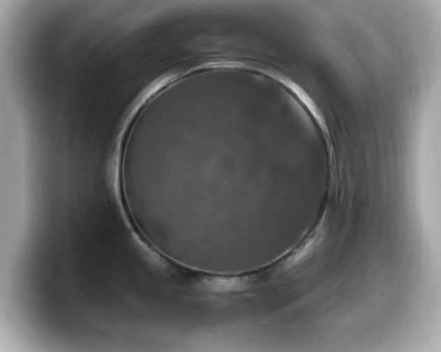 X0000099991245200805231446