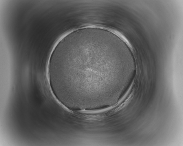 X0000099991247200805231446
