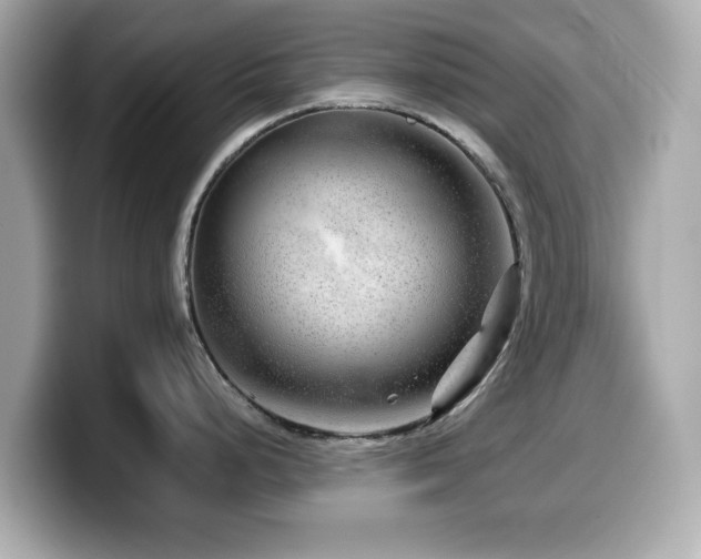 X0000099991248200805231446