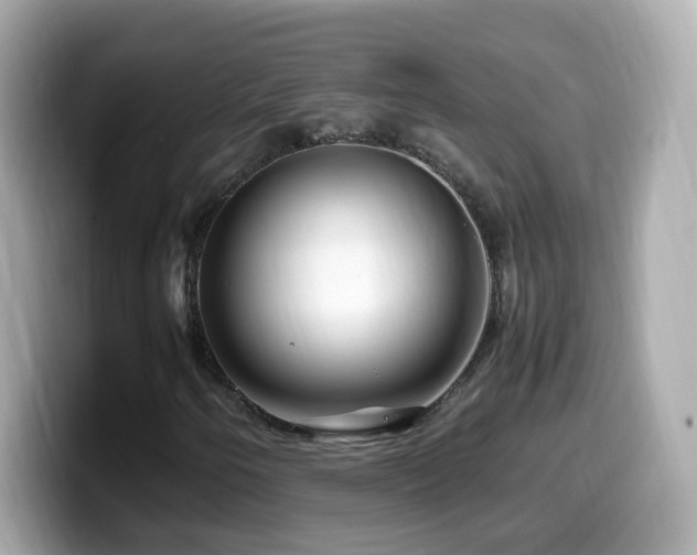 X0000099991250200805231445