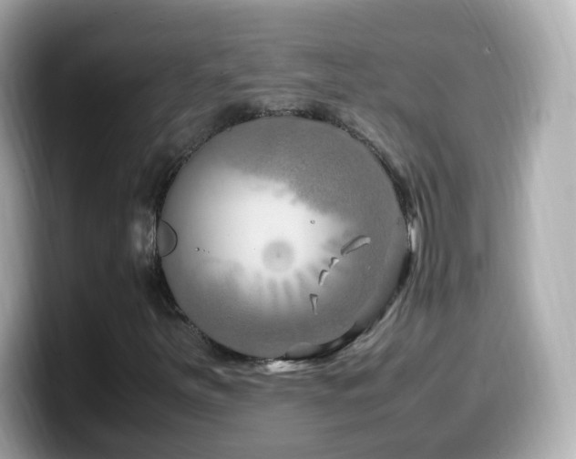 X0000099991251200805231445