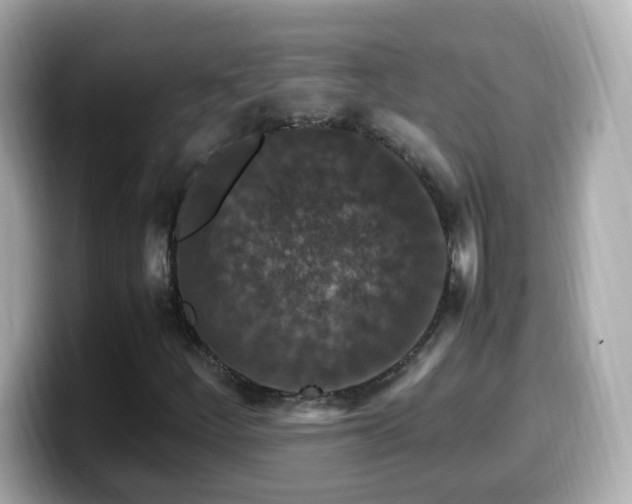 X0000099991252200805231445