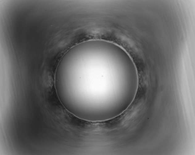 X0000099991253200805231445