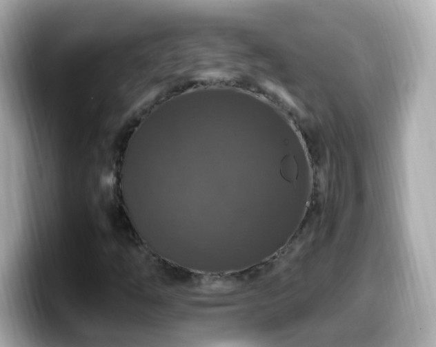 X0000099991254200805231445