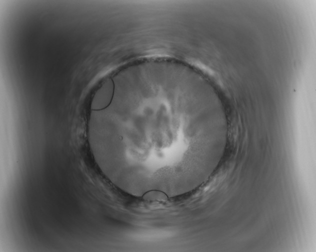 X0000099991255200805231445