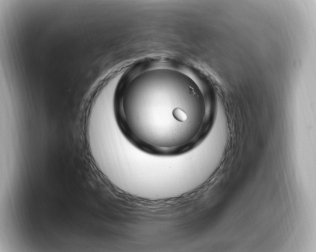 X0000099991256200805231445