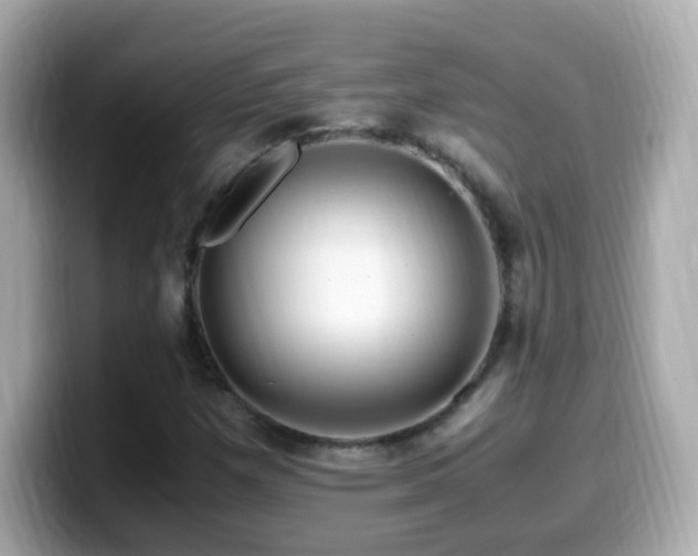 X0000099991257200805231445