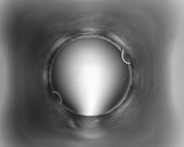 X0000099991259200805231445