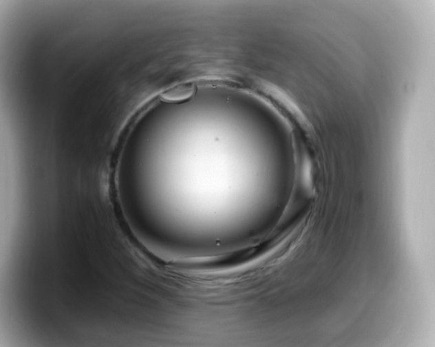 X0000099991260200805231445
