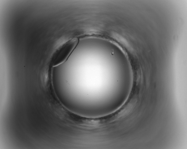 X0000099991261200805231445