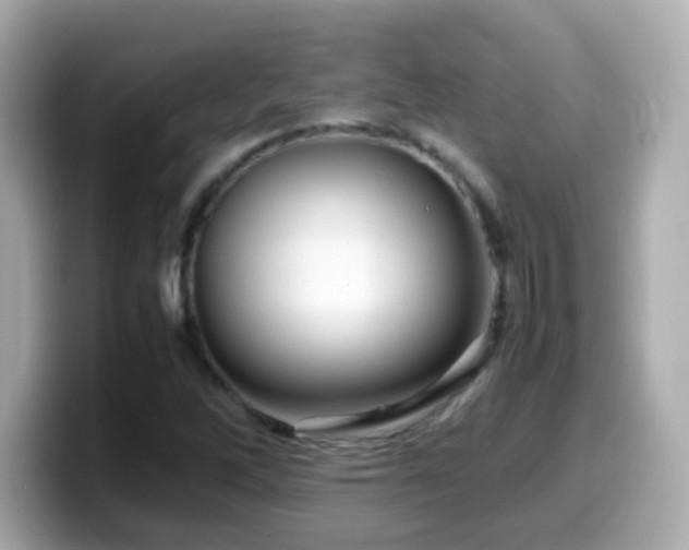 X0000099991262200805231445