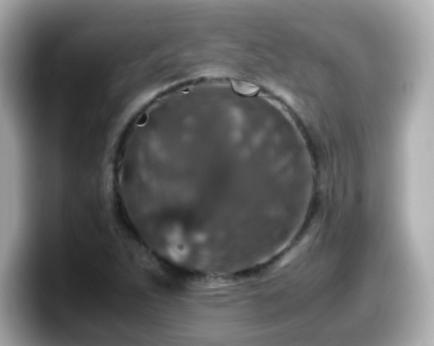 X0000099991263200805231445