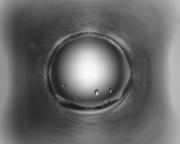 X0000099991264200805231445