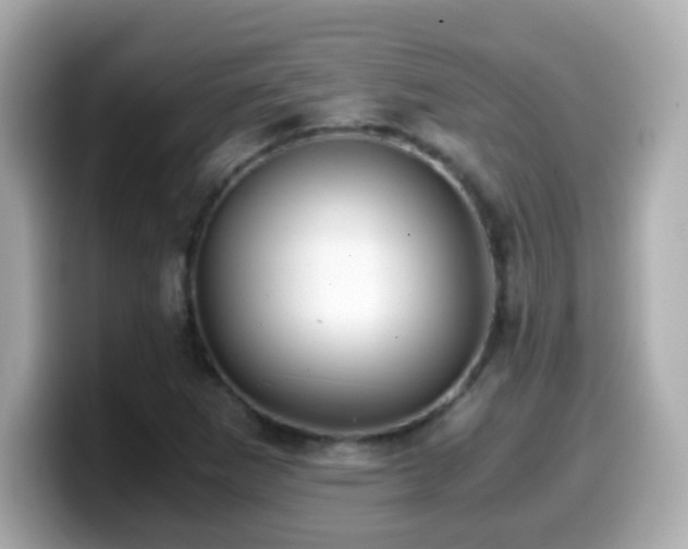 X0000099991265200805231445