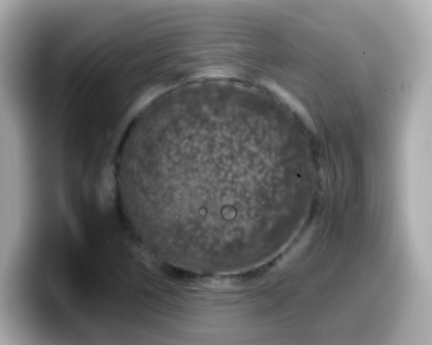 X0000099991266200805231445