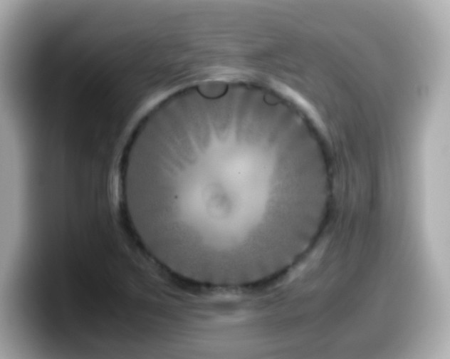 X0000099991267200805231445