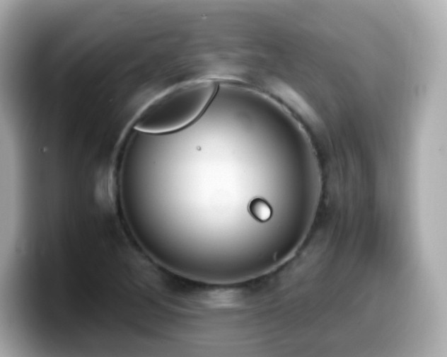 X0000099991268200805231445
