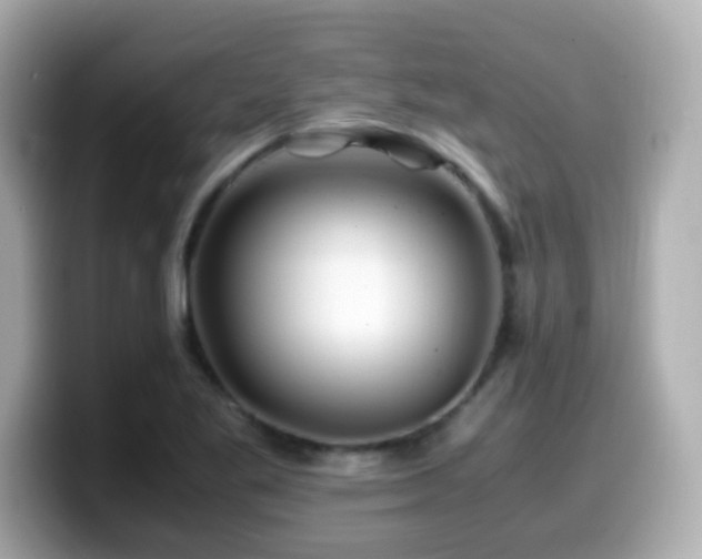 X0000099991269200805231445