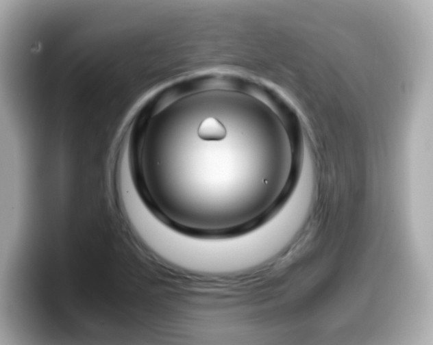 X0000099991271200805231445