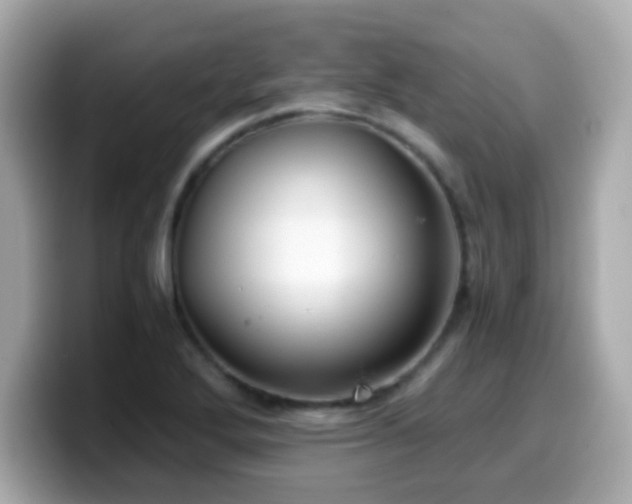 X0000099991272200805231445