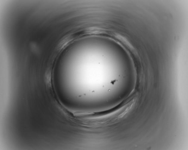 X0000099991273200805231445