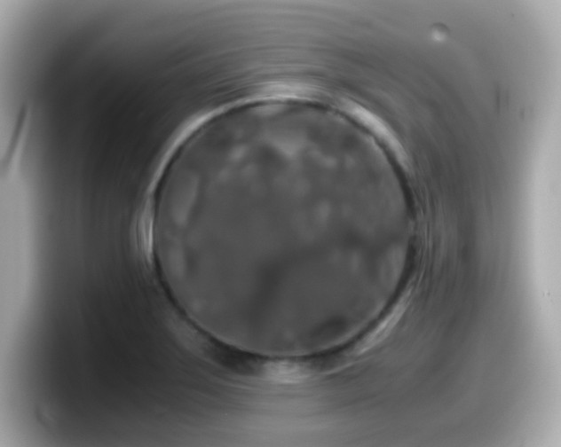 X0000099991275200805231445
