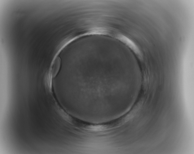 X0000099991276200805231445