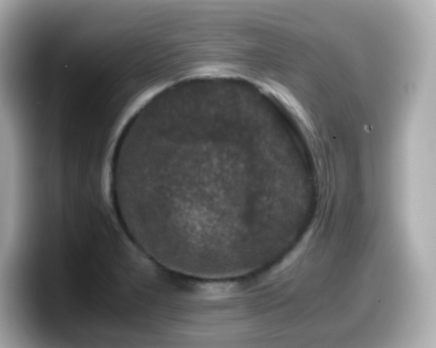 X0000099991277200805231445
