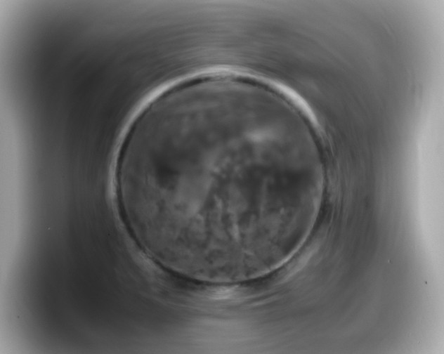X0000099991279200805231445