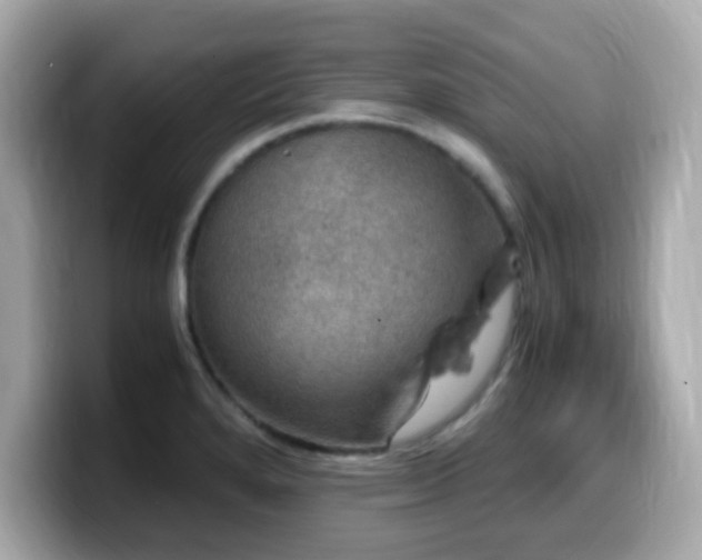 X0000099991280200805231445