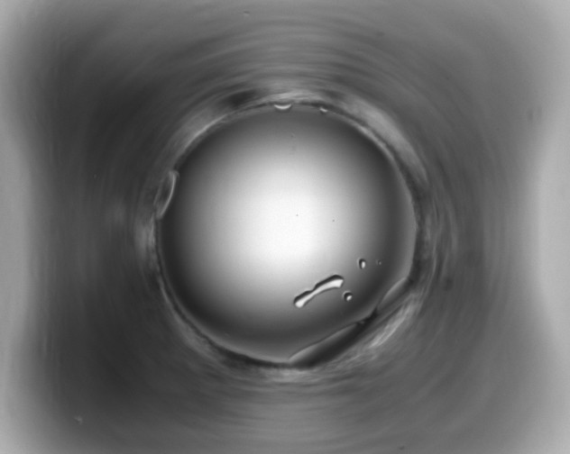 X0000099991281200805231445