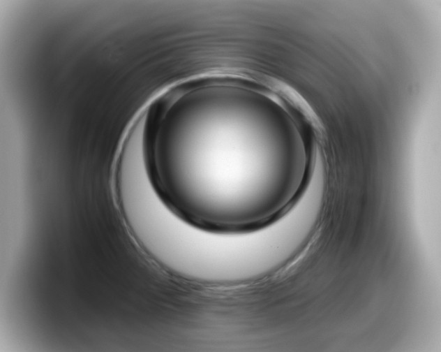 X0000099991284200805231445