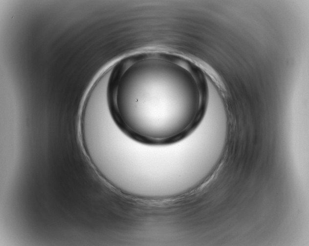 X0000099991288200805231445