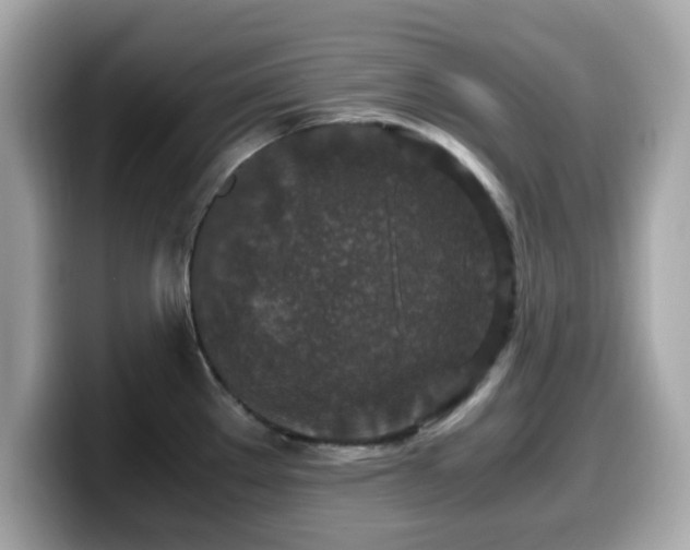 X0000099991289200805231445