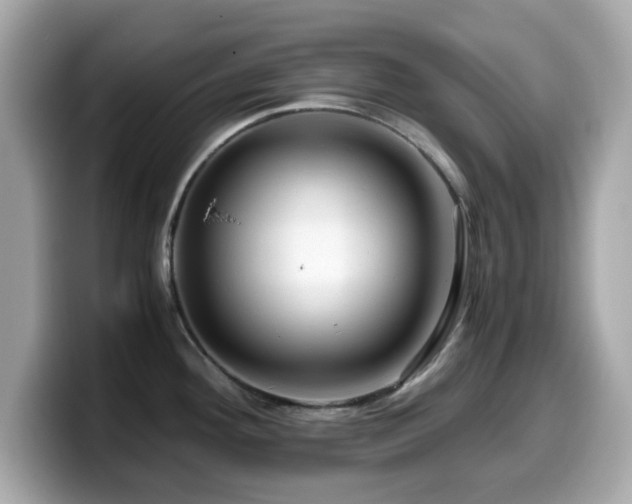 X0000099991292200805231445