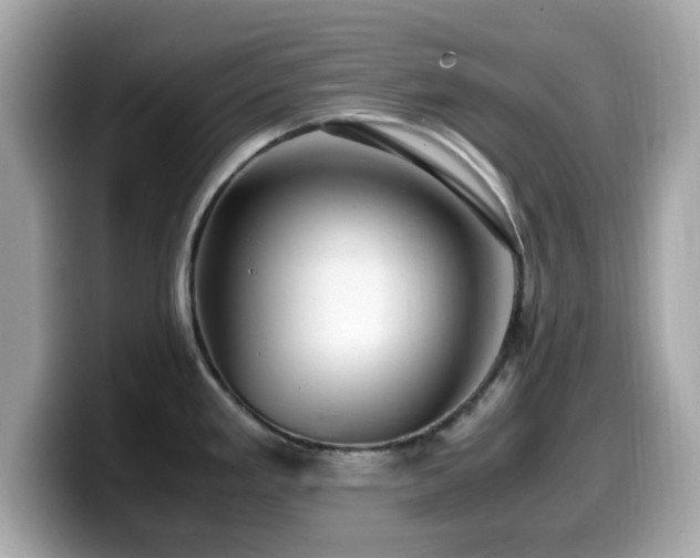 X0000099991293200805231445