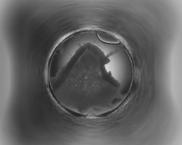 X0000099991295200805231445