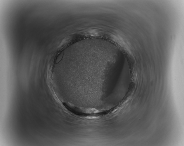 X0000099991297200805231444