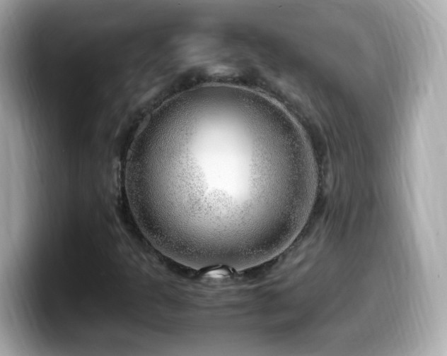 X0000099991301200805231444