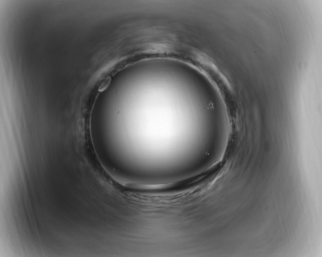 X0000099991304200805231444