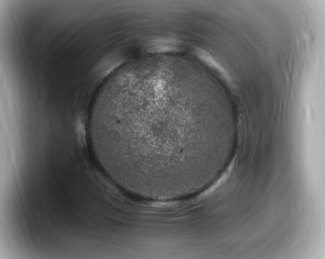 X0000099991305200805231444